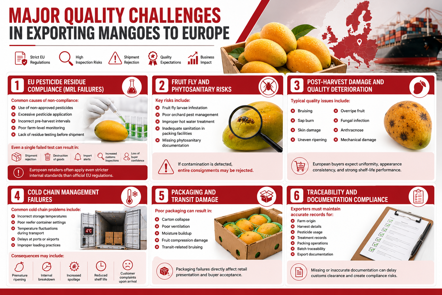 Infographic showing major quality challenges in exporting mangoes from India to Europe, including pesticide residue compliance, fruit fly risks, post-harvest damage, cold chain failures, packaging damage, and traceability compliance.