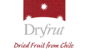 Exportadora Dryfrut Ltda